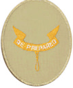 Second Class Badge
